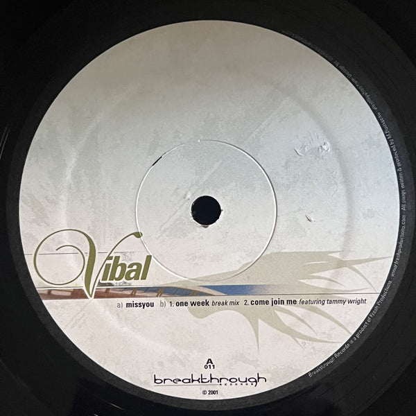 Vibal – Miss You